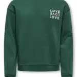sweatshirt vert
