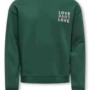 sweatshirt vert