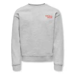 sweatshirt gris