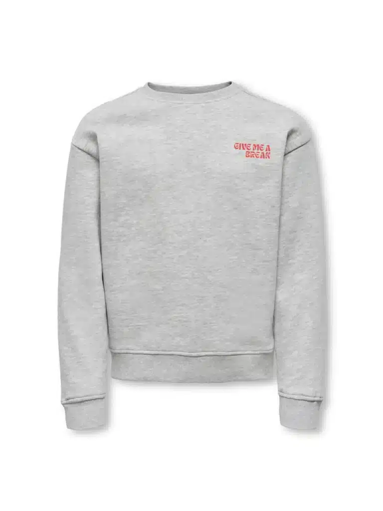 sweatshirt gris