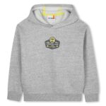 sweat à capuche gris