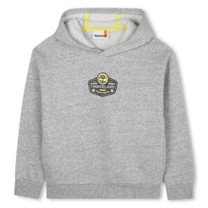 sweat à capuche gris
