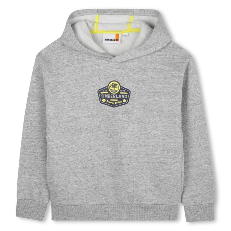 sweat à capuche gris