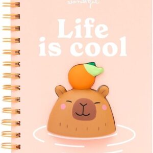 carnet avec squishy
