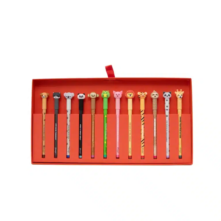 set 12 bics effaçables