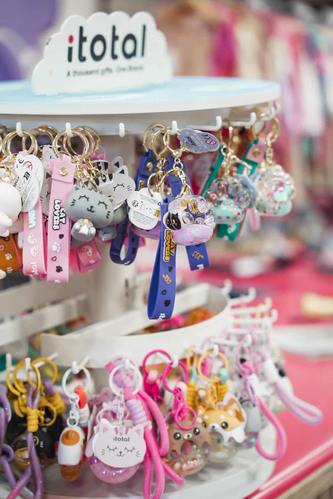 itotal porte clef