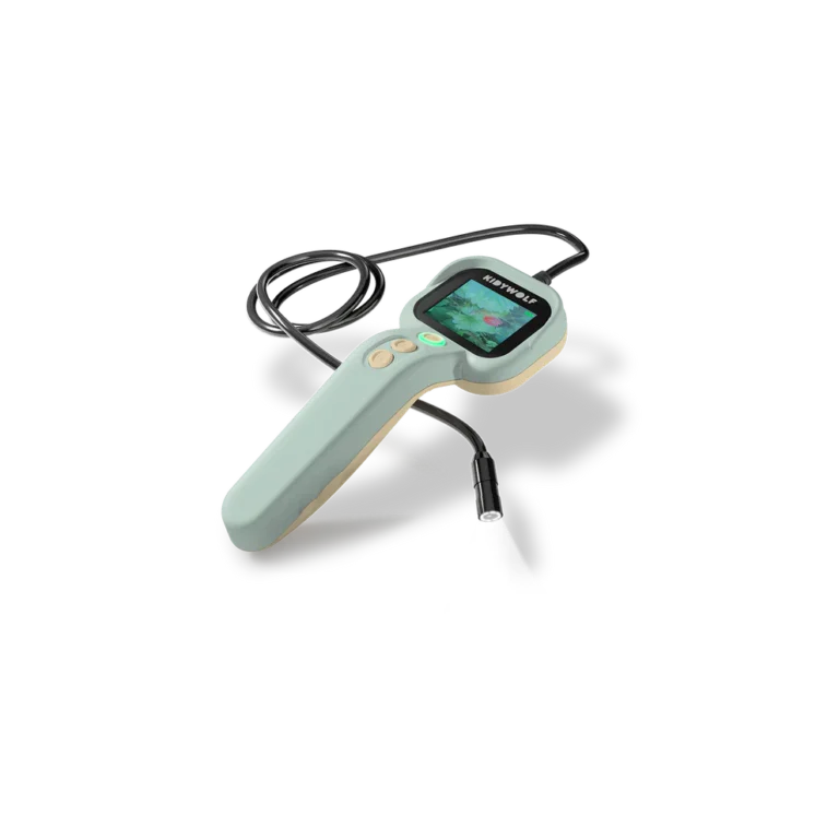 kidywolf enceinte karaoké (copie)