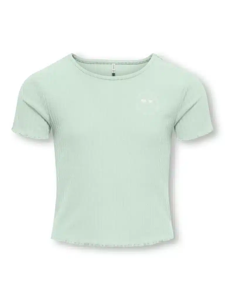 t shirt vert vis la vie (copie)