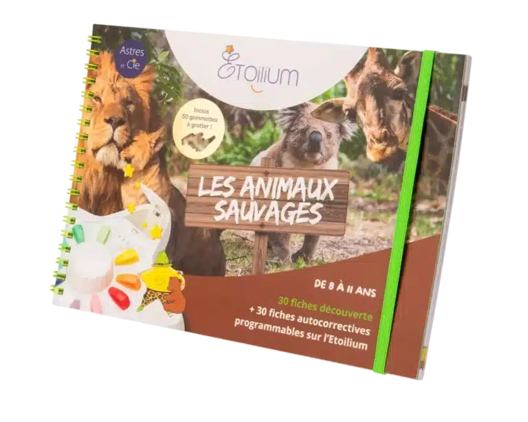 etoilium carnet vive la maternelle (copie)