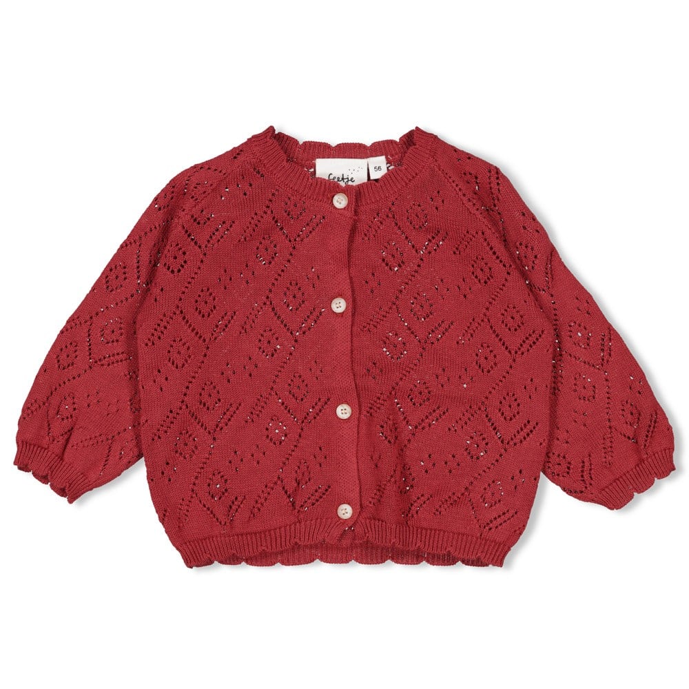 gilet écru dentelle (copie)