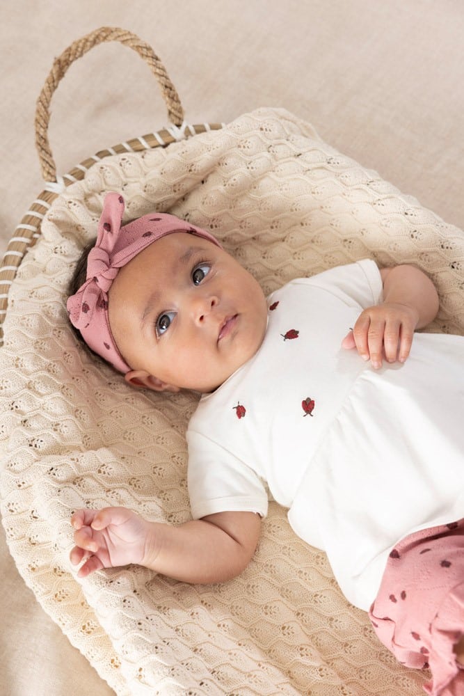 t shirt ml coccinelle (copie)