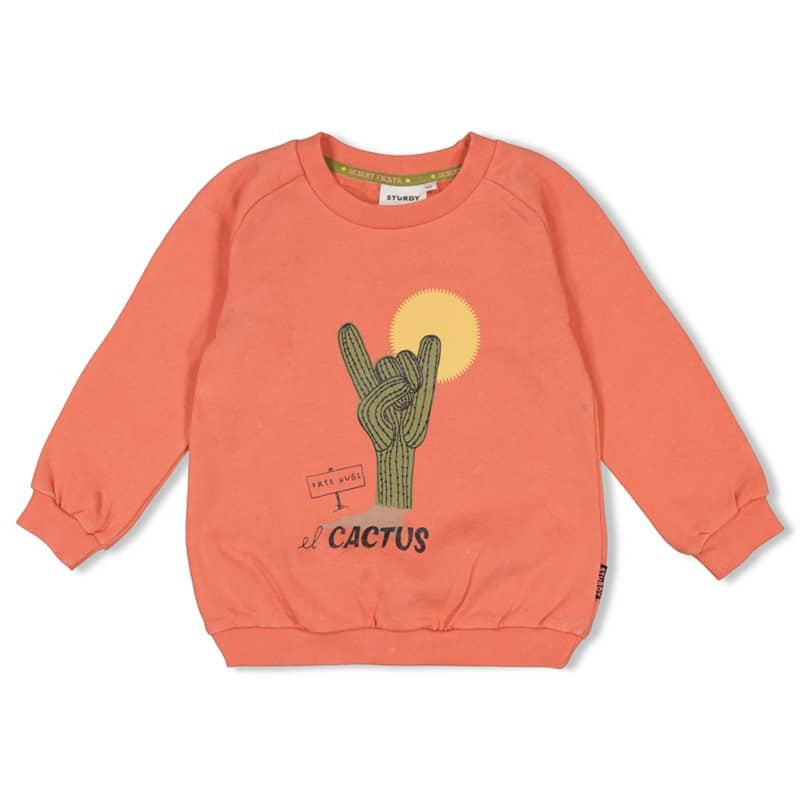 sweat orange cactus