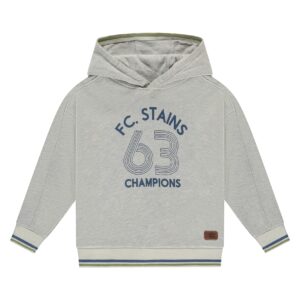 sweat à capuche garçon gris clair chiné