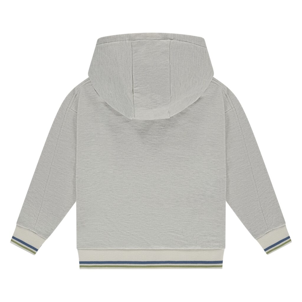 sweat à capuche garçon gris clair chiné