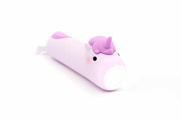 lampe de poche chien (copie)
