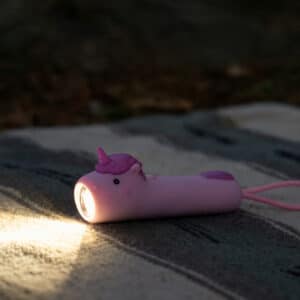 lampe de poche chien (copie)