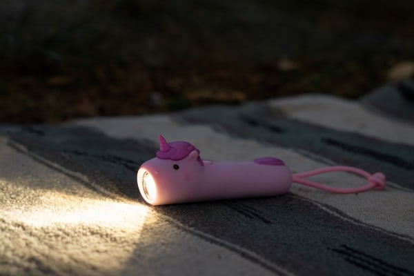 lampe de poche chien (copie)