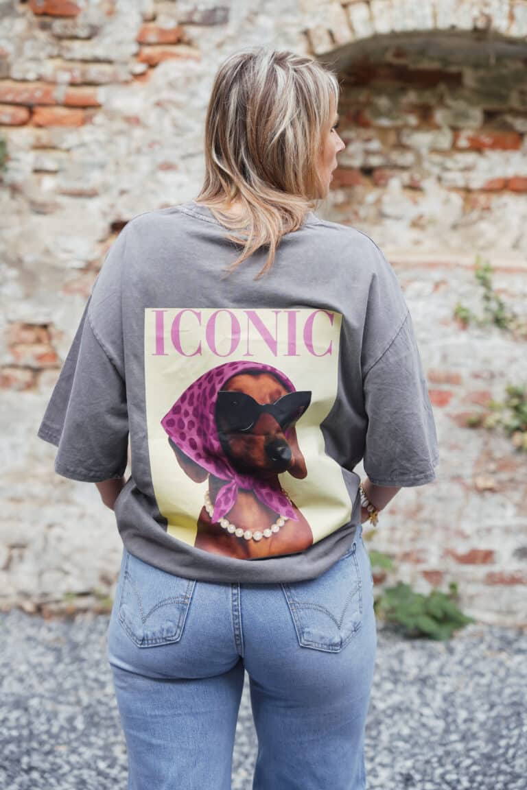 t shirt iconic teckel gris