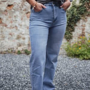 t shirt iconic teckel gris