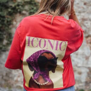 t shirt iconic teckel gris