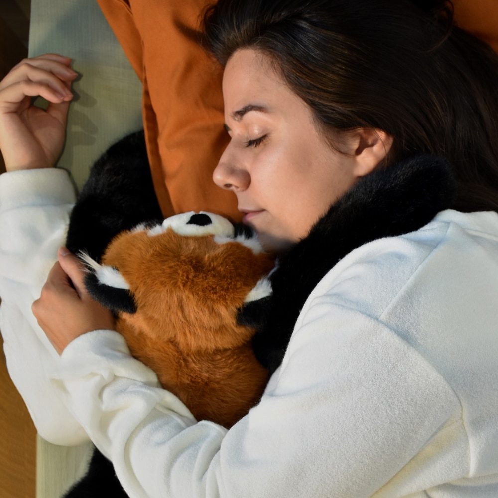 peluche lestée paresseux 75 cm podcoll (copie)