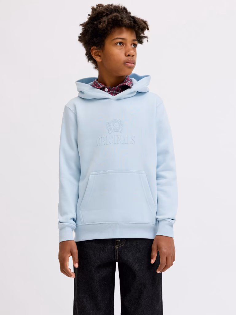 jackjones-jorfrederiksbergmonogramsweathoodjn-bleue (2)