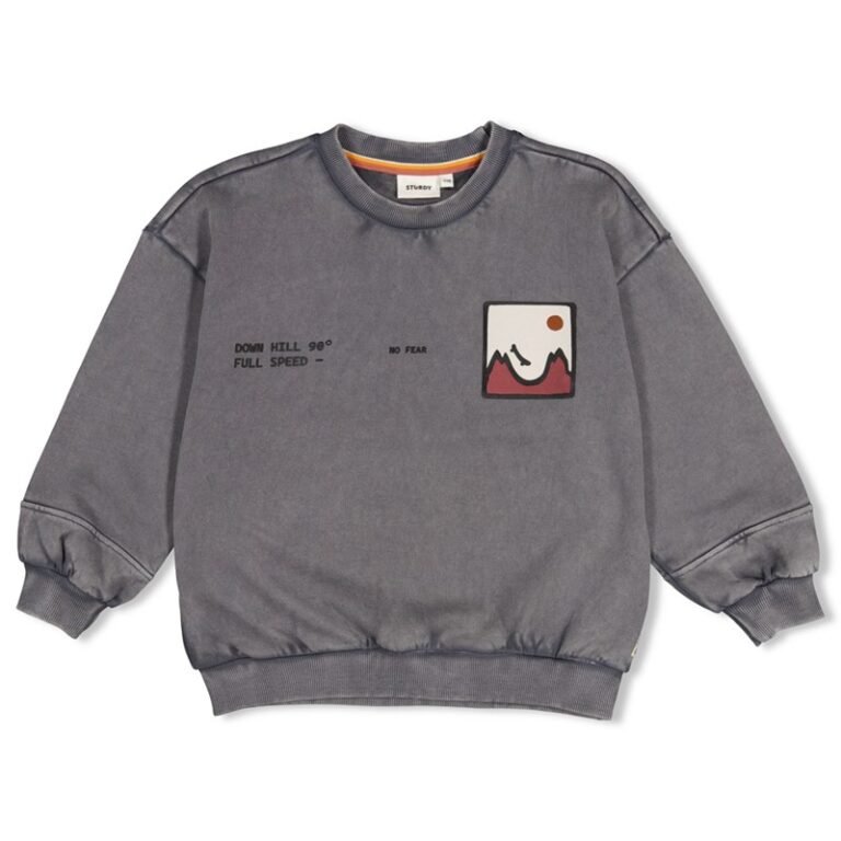 sweat oversize avec imprimé au dos gris