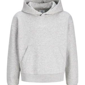 sweat à capuche gris