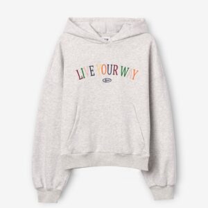 sweat à capuche crown gris
