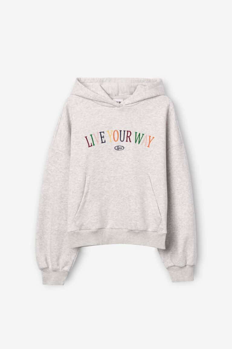 sweat à capuche crown gris