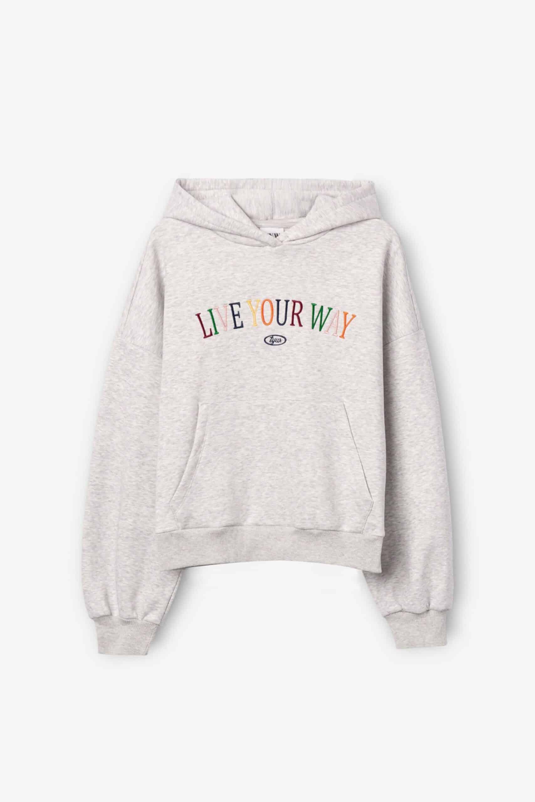 sweat à capuche crown gris