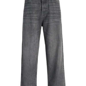 jeans baggy alex gris