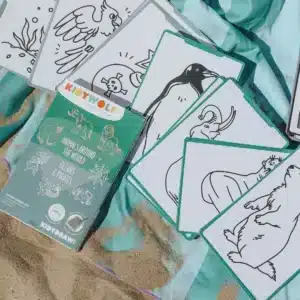 recharges pour kidydraw mini