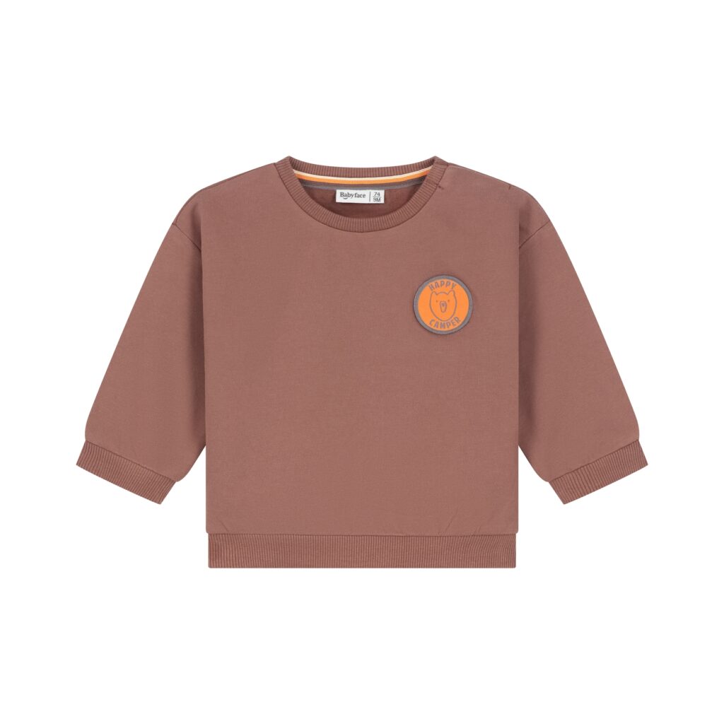 Sweat bébé garçon Marron chocolat — vue principale