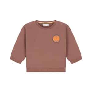 Sweat bébé garçon Marron chocolat — vue principale
