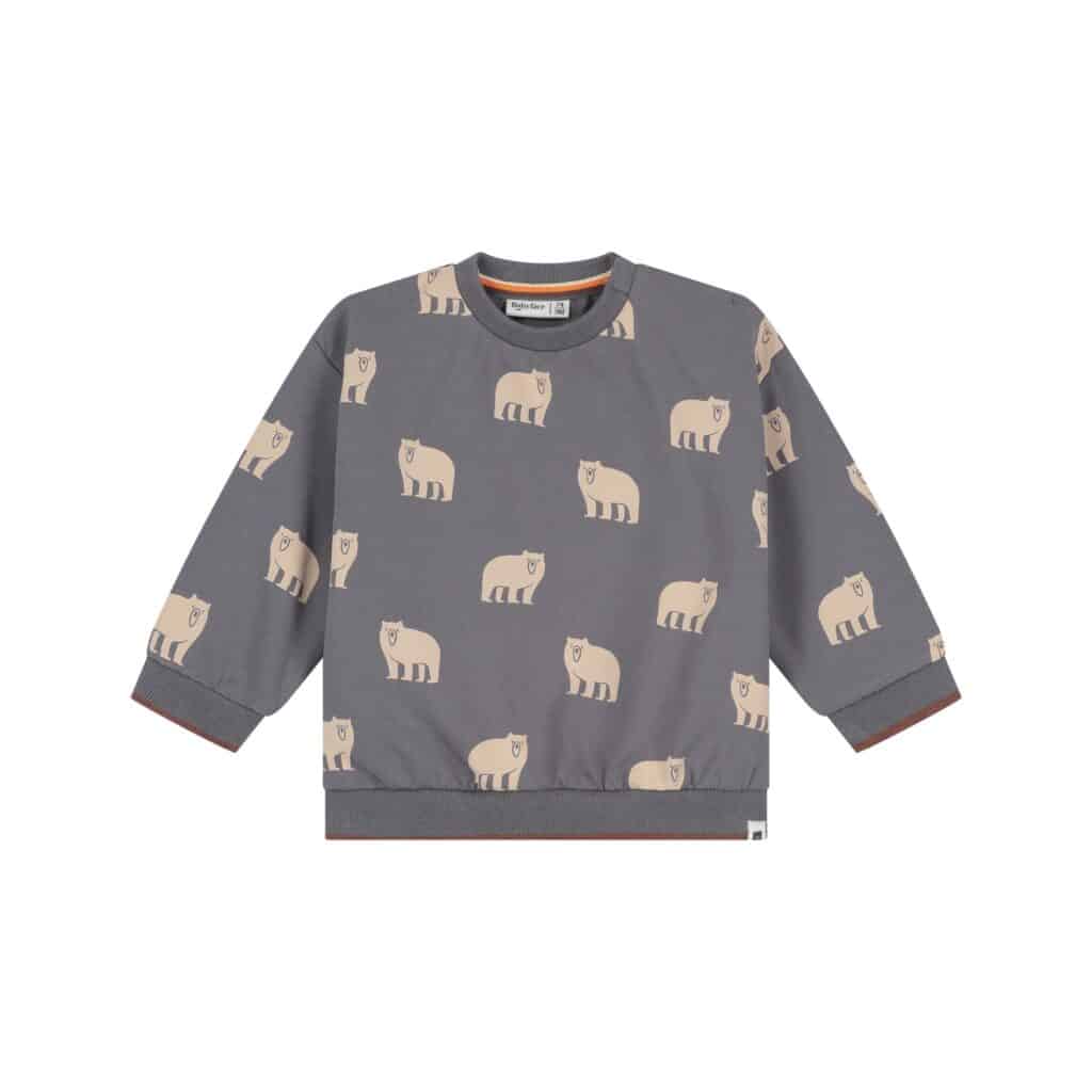 Sweat bébé garçon Gris acier — vue principale