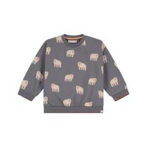 Sweat bébé garçon Gris acier — vue principale