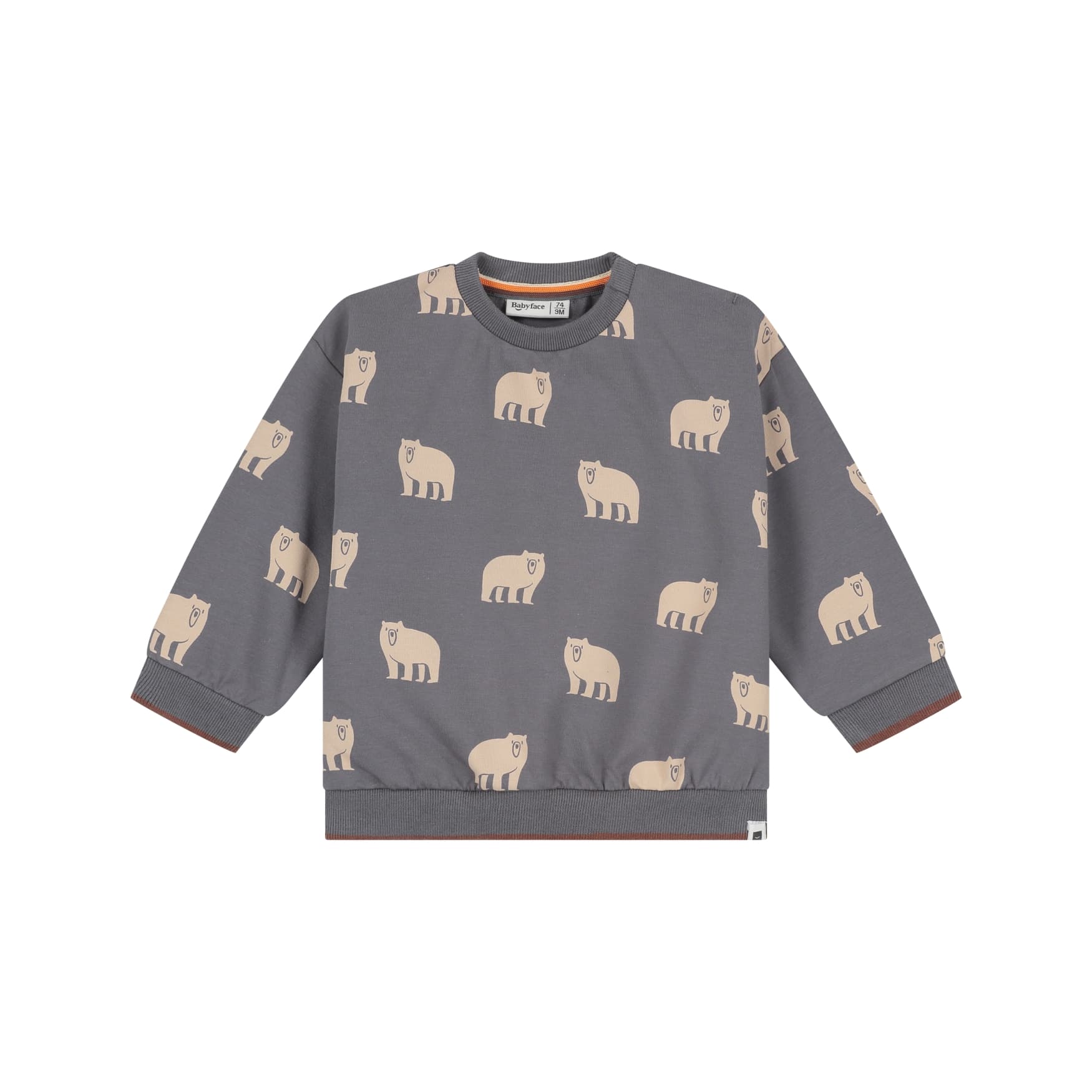 Sweat bébé garçon Gris acier — vue principale