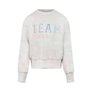 sweat gris team nice