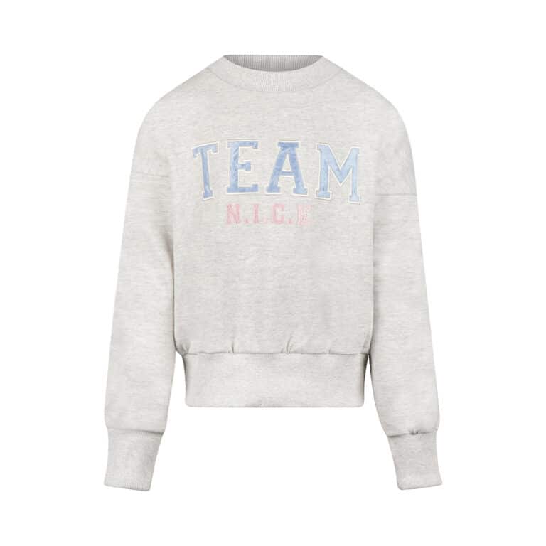 sweat gris team nice