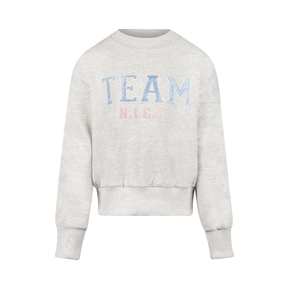 sweat gris team nice