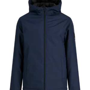 baggy gris jjialex jjcooper (copie)
