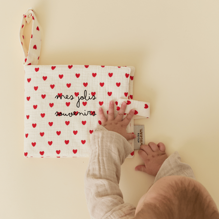 mini-album-photo-gaze-coeurs-rouges