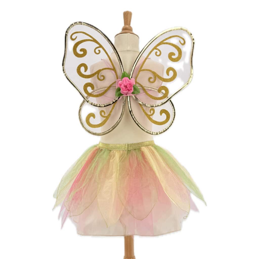 set tutu et ailes d'elfe